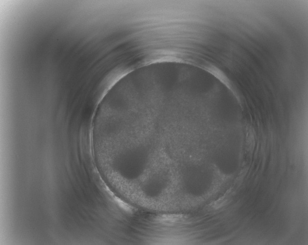 X0000063501290200602172109