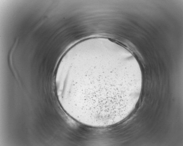 X0000063501292200602172109