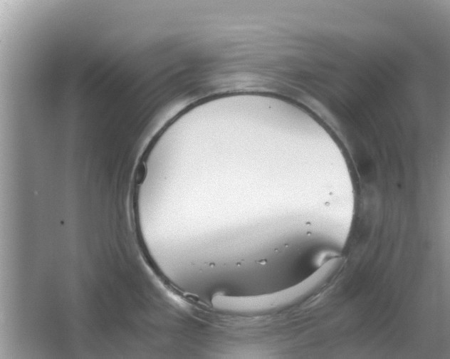 X0000063501293200602172108