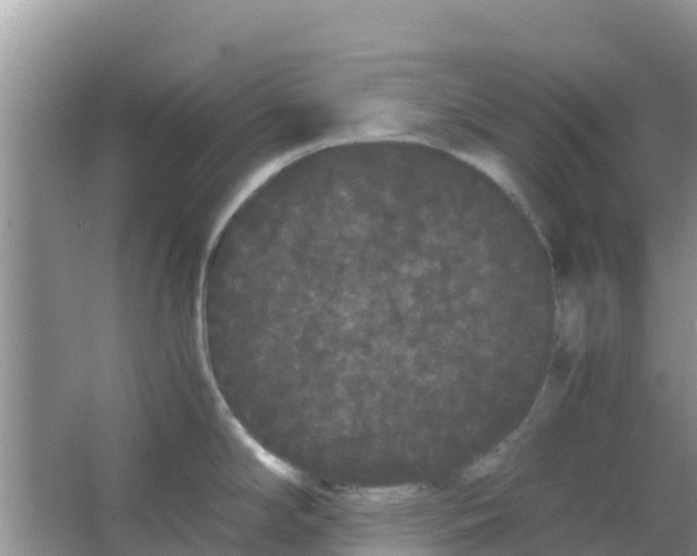 X0000063501294200602172108