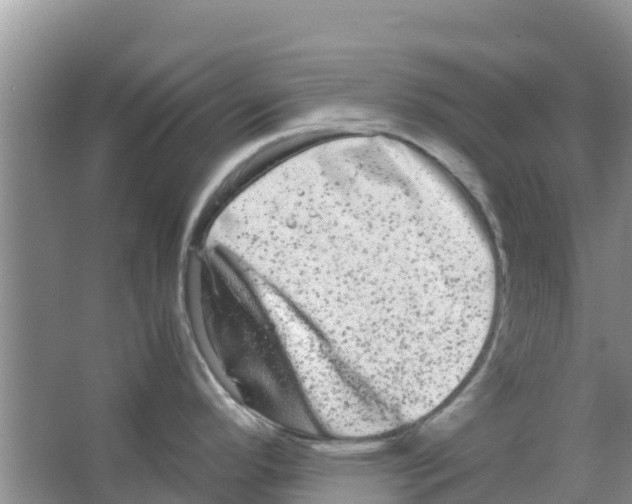 X0000063501296200602172108