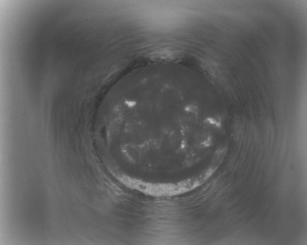 X0000063501297200602172108