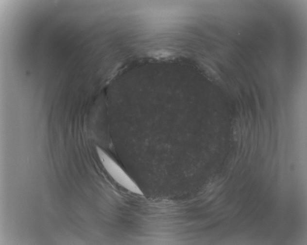 X0000063501298200602172108