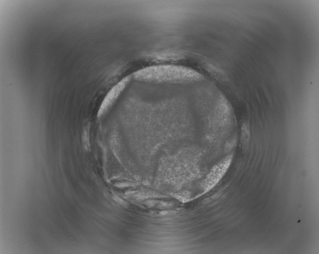 X0000063501300200602172108