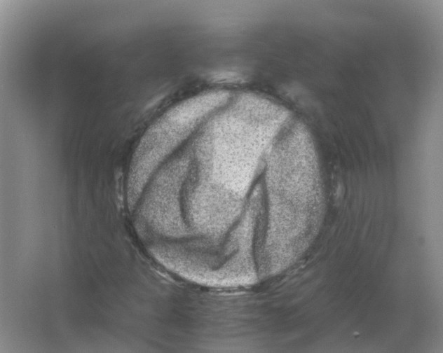 X0000063501301200602172108