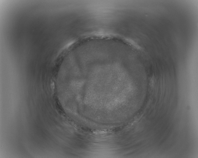 X0000063501302200602172108