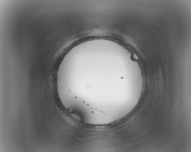 X0000063501304200602172108