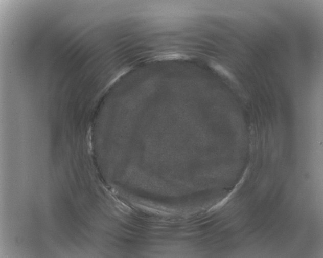 X0000063501305200602172108