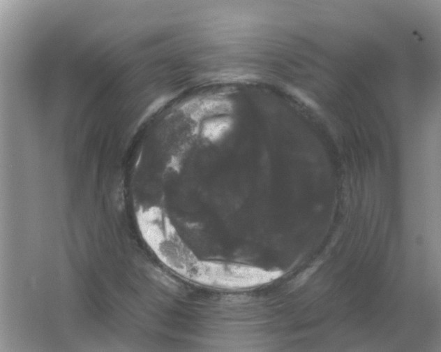 X0000063501306200602172108