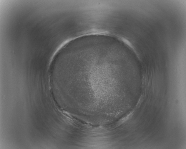 X0000063501310200602172108