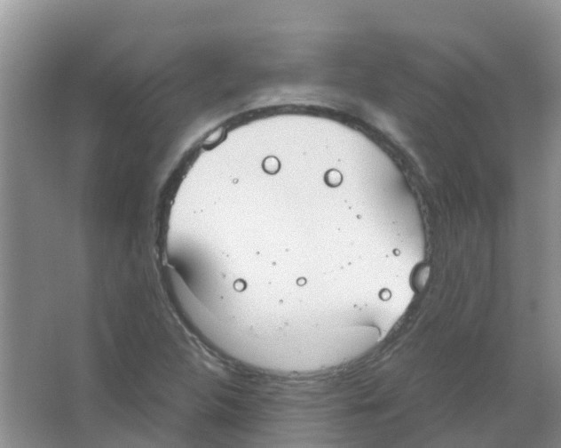 X0000063501312200602172108