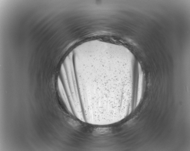 X0000063501313200602172108