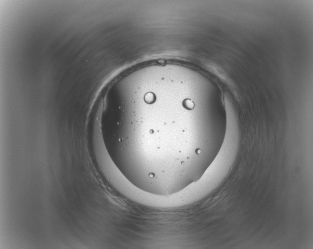 X0000063501316200602172108