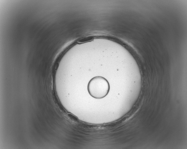 X0000063501317200602172108