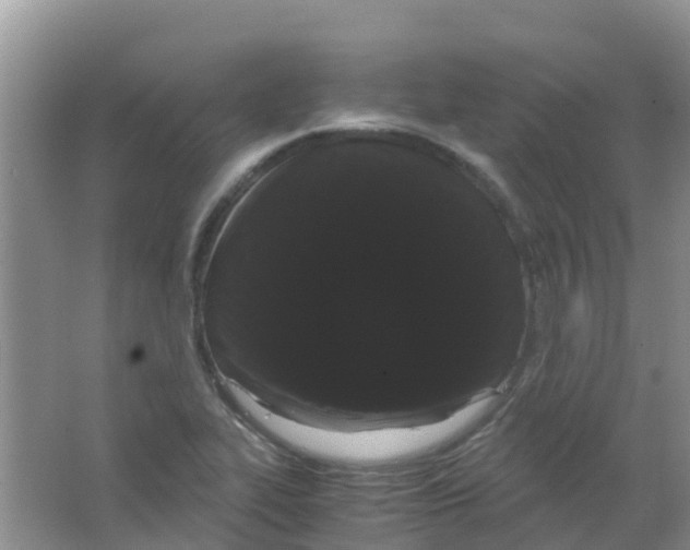 X0000063501319200602172108