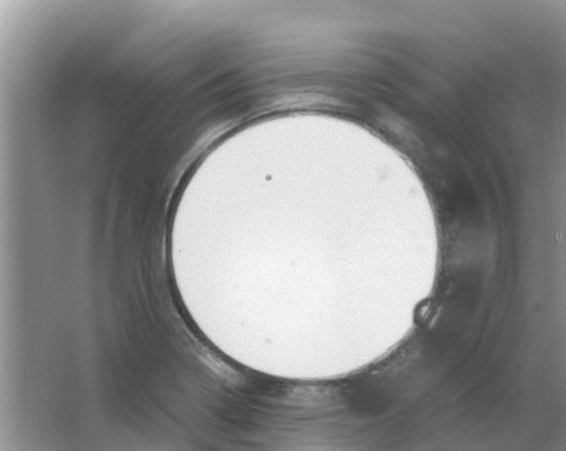 X0000063501322200602172108