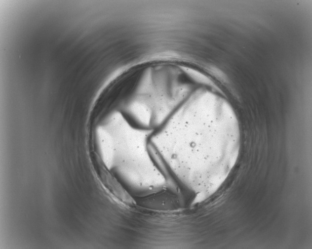 X0000063501326200602172108