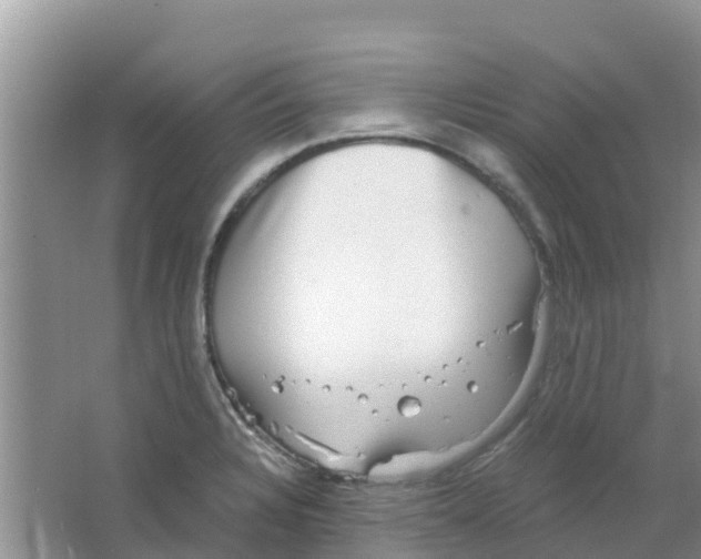 X0000063501328200602172108