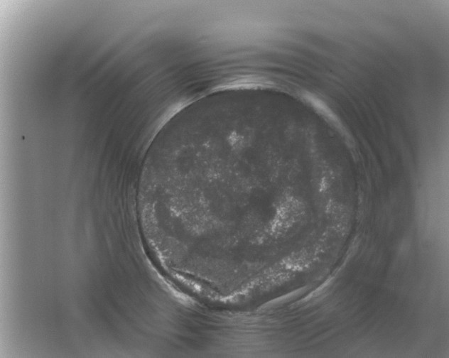 X0000063501329200602172108