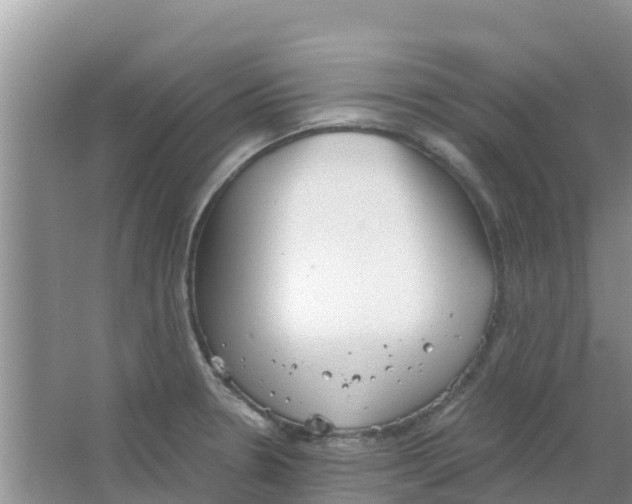 X0000063501330200602172108