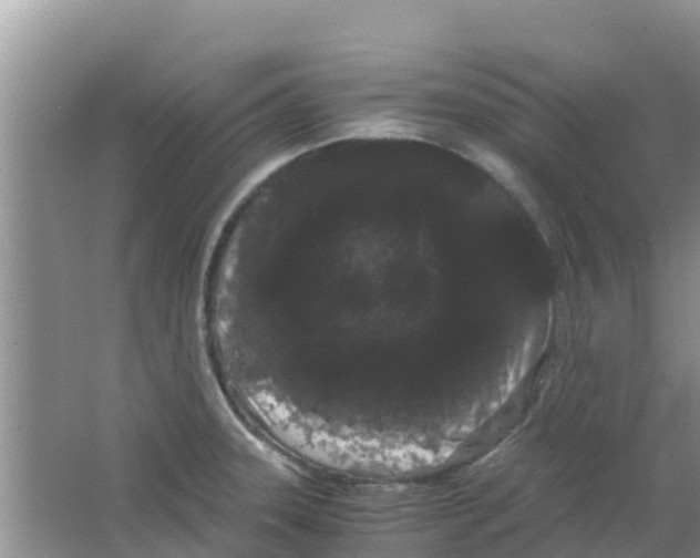 X0000063501331200602172108