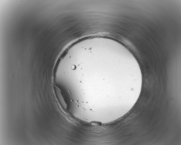 X0000063501332200602172108