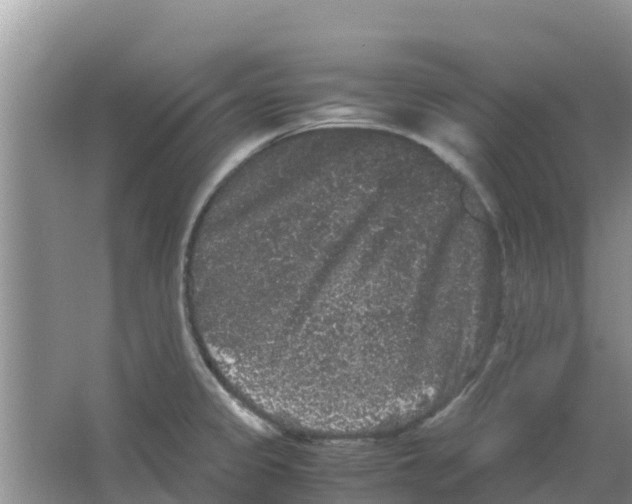 X0000063501333200602172108