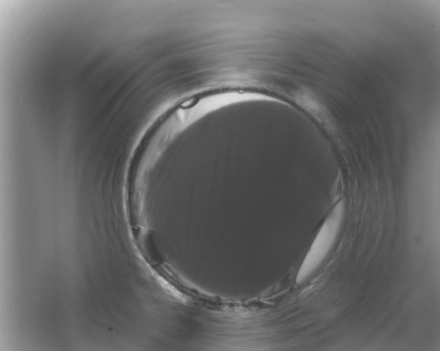 X0000063501334200602172108