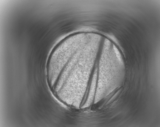 X0000063501335200602172108