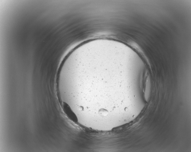 X0000063501336200602172108