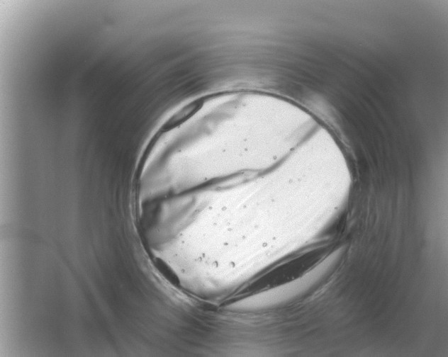 X0000063501340200602172108