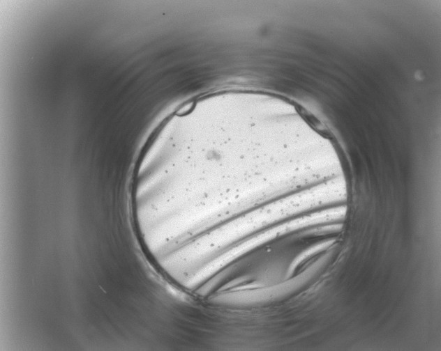 X0000063501341200602172108