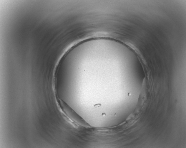 X0000063501342200602172108