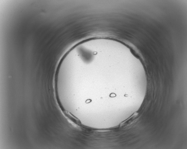 X0000063501343200602172108