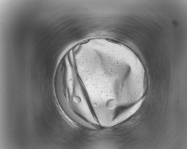 X0000063501344200602172108