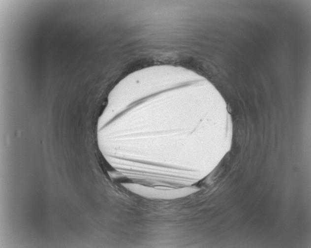 X0000063501345200602172108