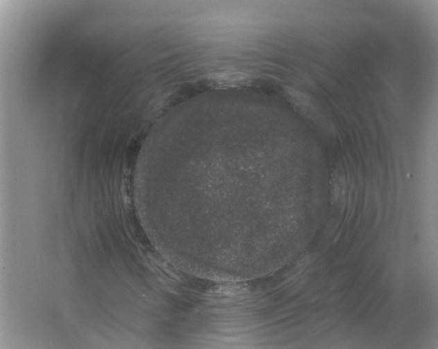 X0000063501346200602172108