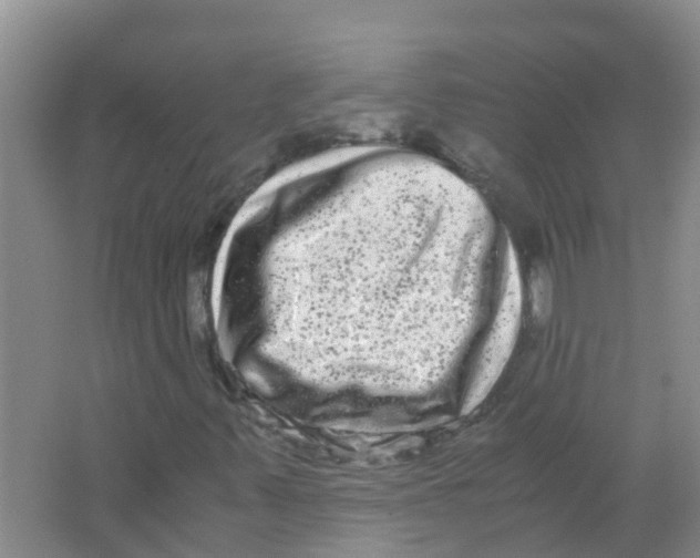 X0000063501347200602172108