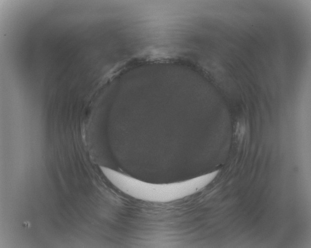 X0000063501348200602172108