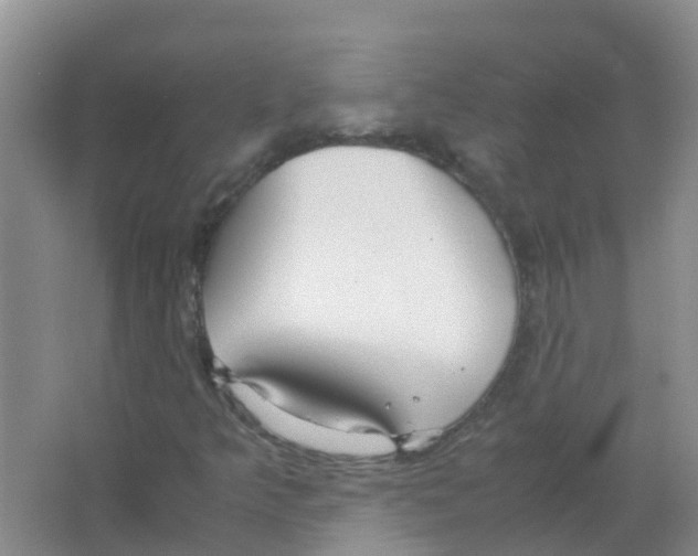 X0000063501349200602172108