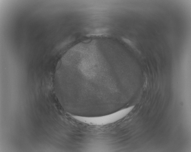 X0000063501350200602172108