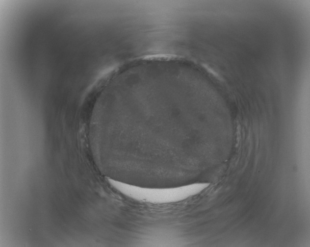 X0000063501351200602172107