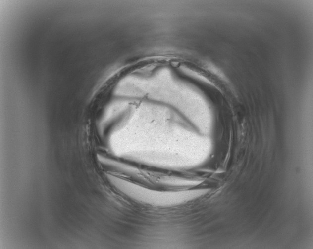 X0000063501352200602172107