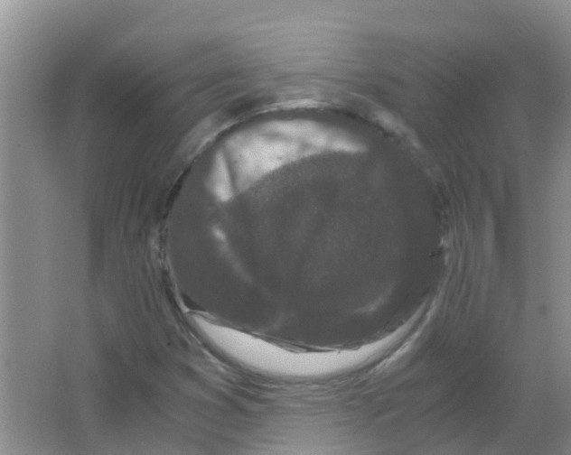 X0000063501353200602172107