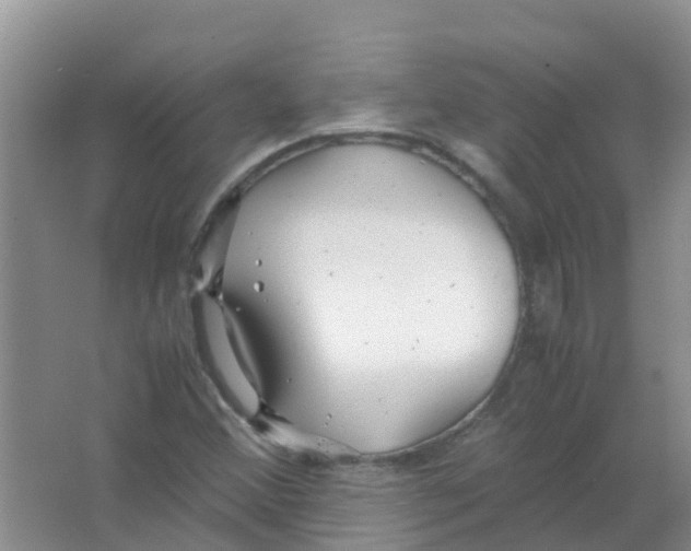 X0000063501356200602172107