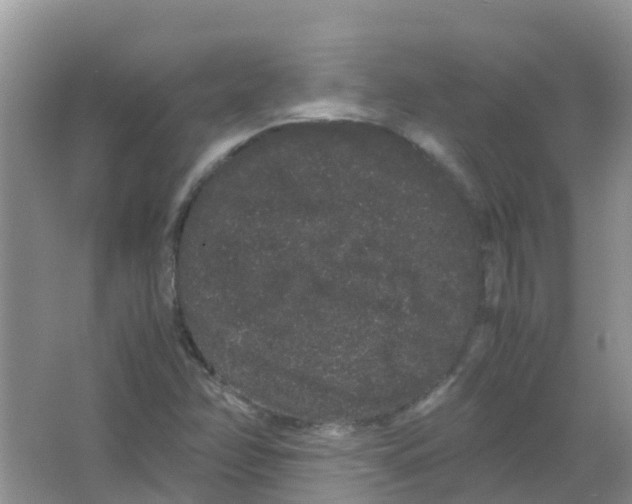 X0000063501358200602172107