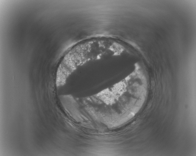 X0000063501359200602172107