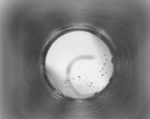 X0000063501360200602172107