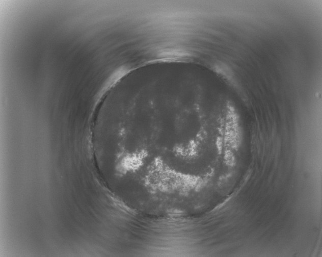 X0000063501362200602172107