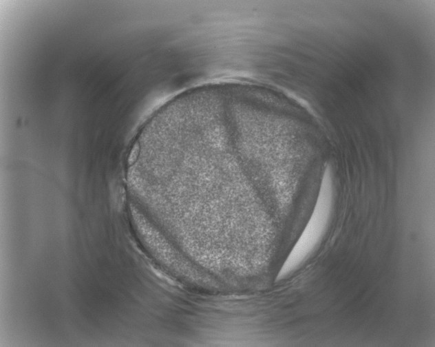 X0000063501363200602172107